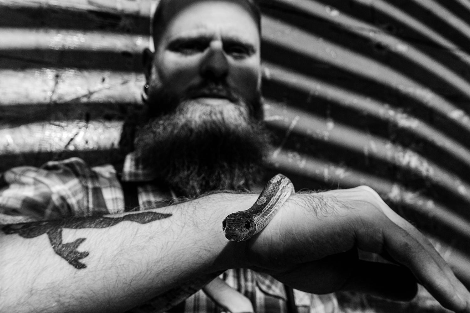 Photographie noir et blanc d'un modèle homme avec un serpent sur son bras face caméra