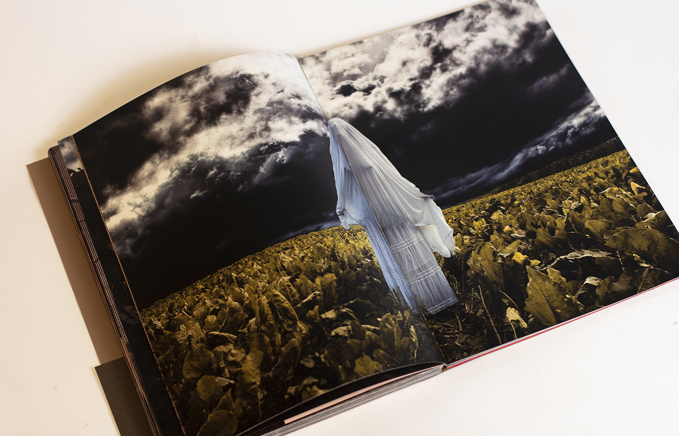 Manon Knasko Photographies